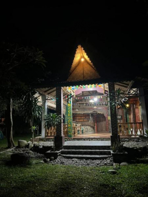 Pongo Guest House & jungle trekking